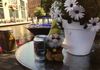 Quiet time on the canal in Amsterdam