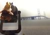 Mackinac Bridge