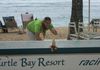 Turtle Bay Resort   Oahu, Hawaii