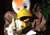 Launchpad McQuack