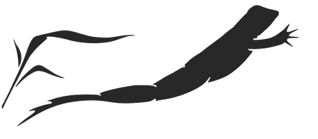 Dakota Shy Wine Cruise