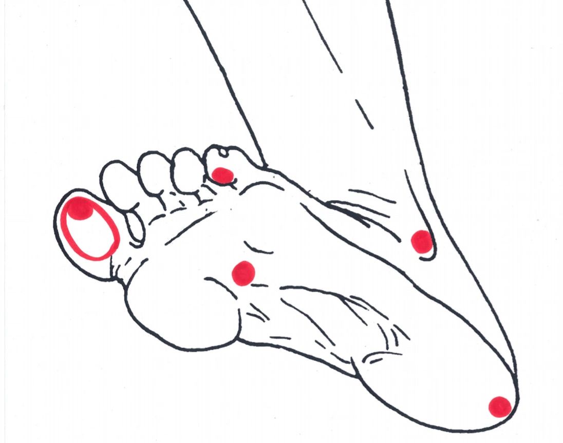 Five functional landmarks of the foot