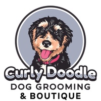 Curly Doodle Dog Grooming