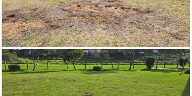 Vic Feral Eradication, VFE, Rabbit control, Victoria, Australia, Vertebrate control, Pest control