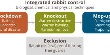 Vic Feral Eradication, VFE, Rabbit control, Victoria, Australia, Vertebrate control, Pest control, F