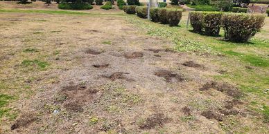 Vic Feral Eradication, VFE, Rabbit control, Victoria, Australia, Vertebrate control, Pest control