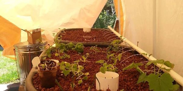 Aquaponics