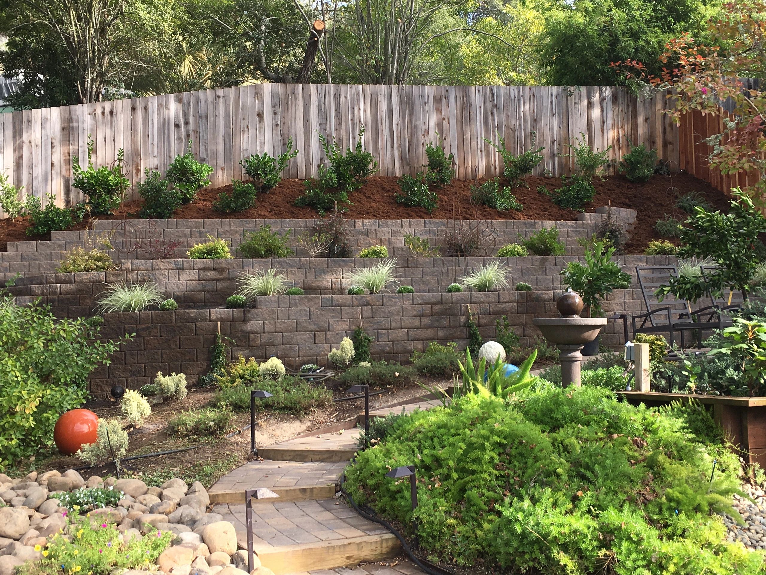 ROVETTIS LANDSCAPE & MAINTENANCE logo
