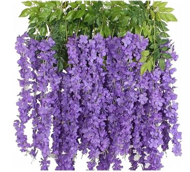 A bunch of hanging purple wisteria flowers with green leaves.