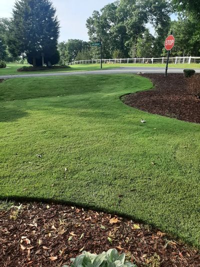 Green lawn with trees, a stop sign, and street signs on a sunny day.