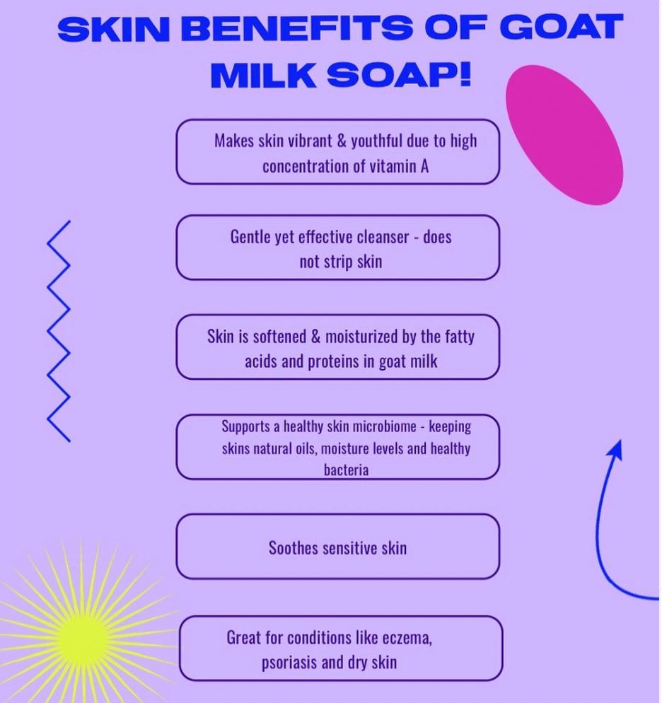 Exploring the Wonders of Goat's Milk Soap Base: Benefits, Uses, and Wh –  Essencetics