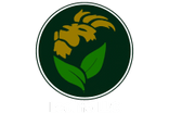 Leolife LLC 