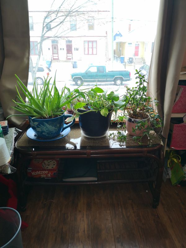 Client TM, Livingroom window area, decluttered and organized. 