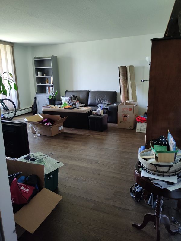 Livingroom, After, Decluttered, Client TF.