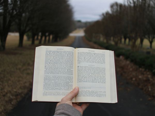 Hand holding an open book with Greek text on a tree-lined path.