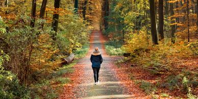 One person walking through the autumn woods.