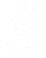boho hair boutique