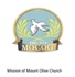 mountoliveshop98