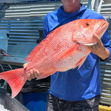 Person holding a large bright red fish, likely a red snapper.