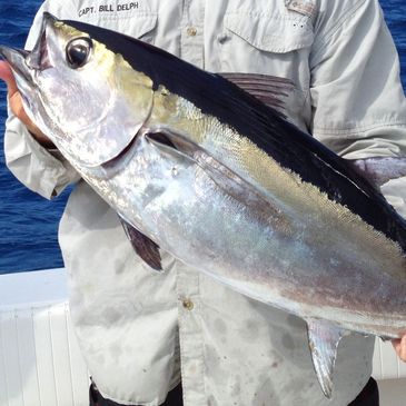 A person holding a large tuna fish on a boat.