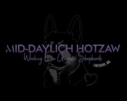 Mid-daylich Hotzaw German Shepherds