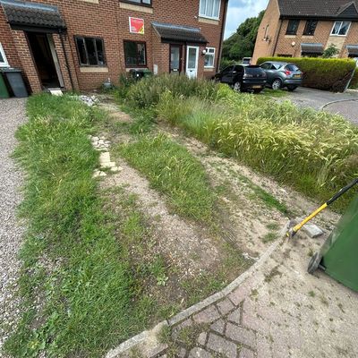overgrown front path, ready to be turned into a resin front parking spot 