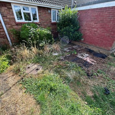 Overgrown garden with broken paving before resin patio install in Chatteris, Cambridgeshire