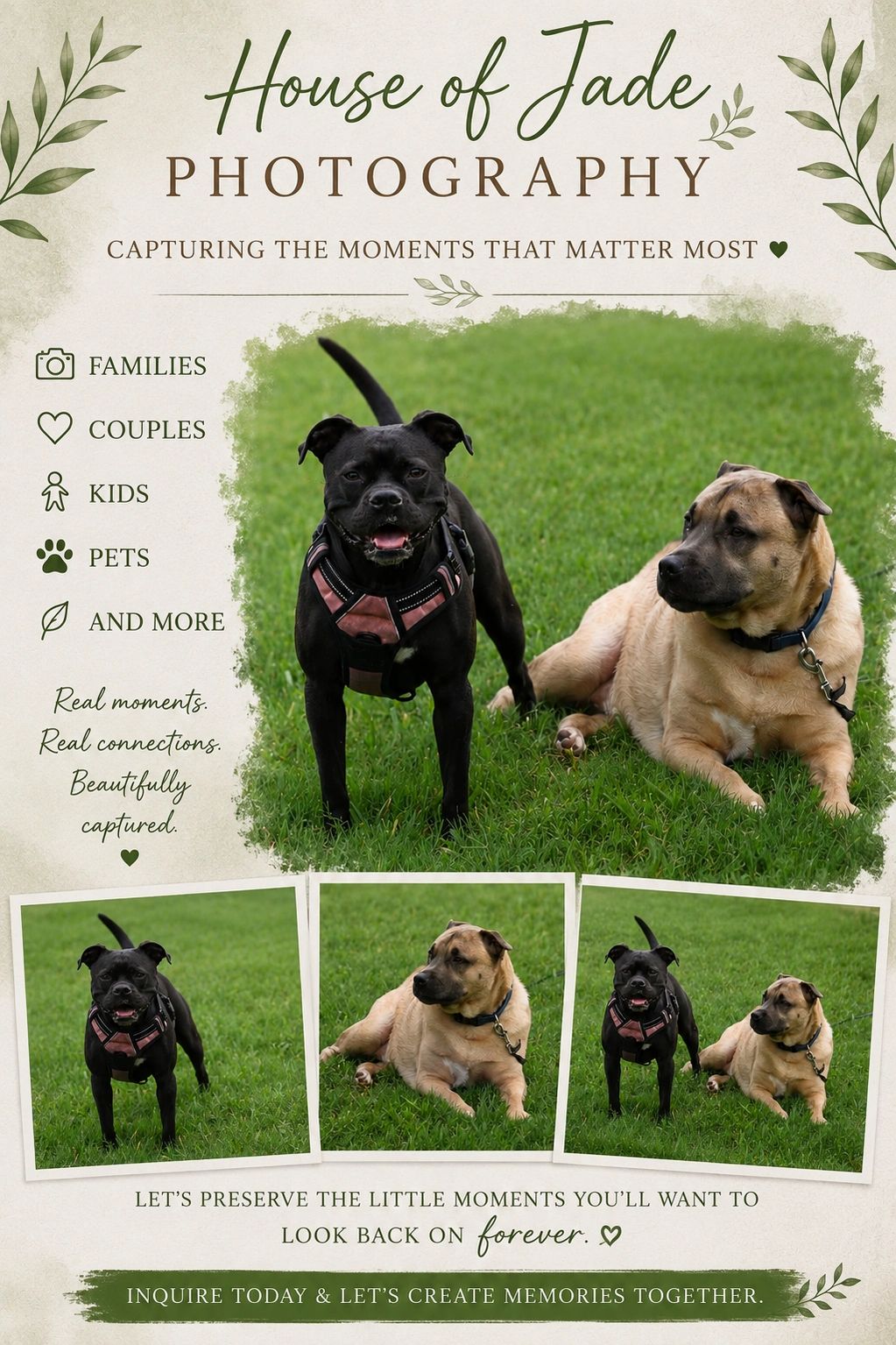 Photography ad featuring two dogs on green grass.