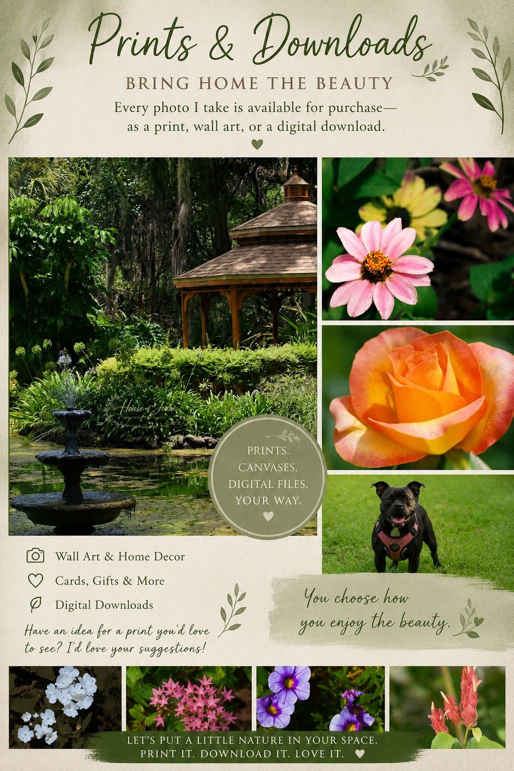 Promoting prints and downloads of nature and pet photography.