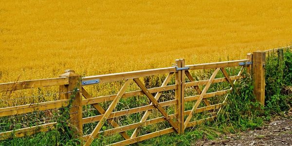 New Gate to Farm with Long Hinges and a Latch