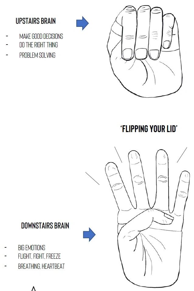 Hand model for flipping your lid by Daniel Siegel and Tina Bryson