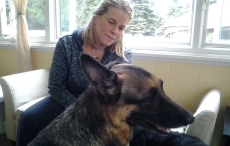 Pet Reiki, Animal Reiki, Pet Healing Capital District, Albany, Troy, Schenectady , Averill Park, 