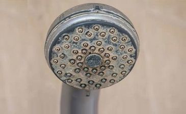 Clogged Shower head. Covered in lime scale and calcium build up.