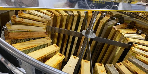 Honey Extractor