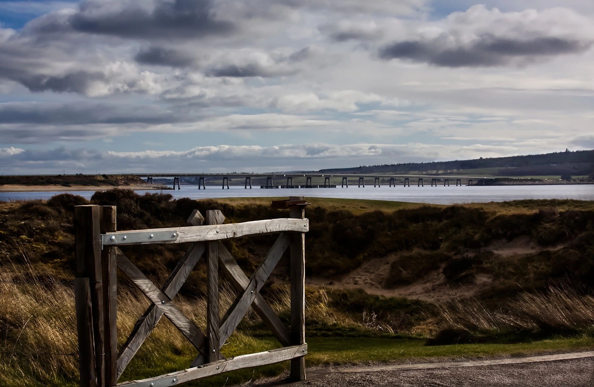 Dornoch Firth Group SCIO logo
