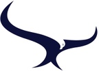 Eagle Precision Aerial