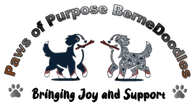 Paws of Purpose BerneDoodles