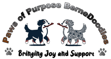 Paws of Purpose BerneDoodles
