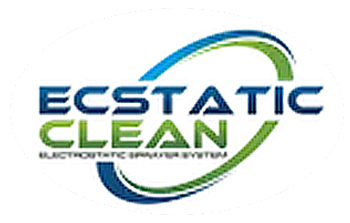 Ecstatic Clean