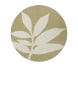 White Ash Sapling Woodwork Co.