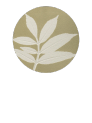 White Ash Sapling Woodwork Co.