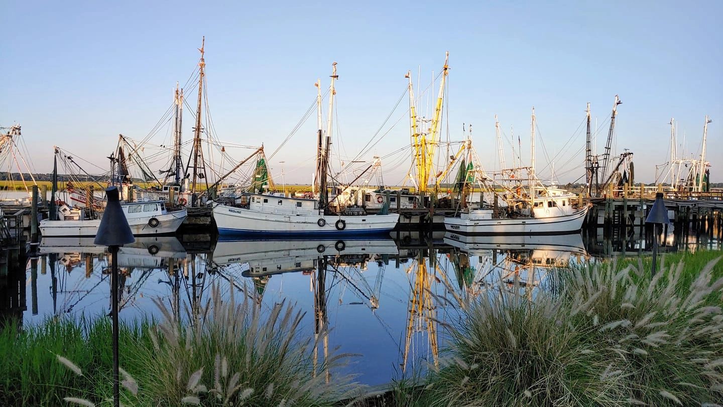 Apex Team Real Estate