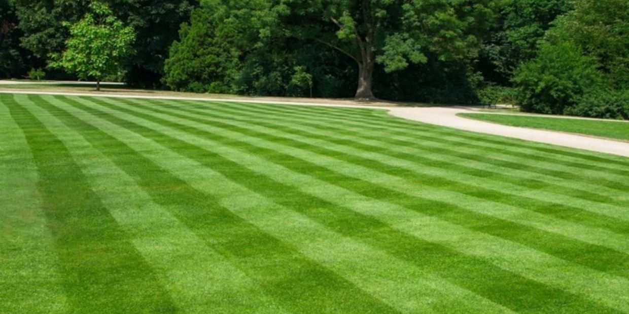 Lawn aeration service for healthier, greener grass and improved soil drainage in Murrieta, CA