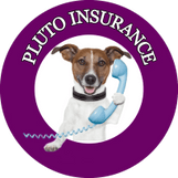 Pluto Insurance LLC