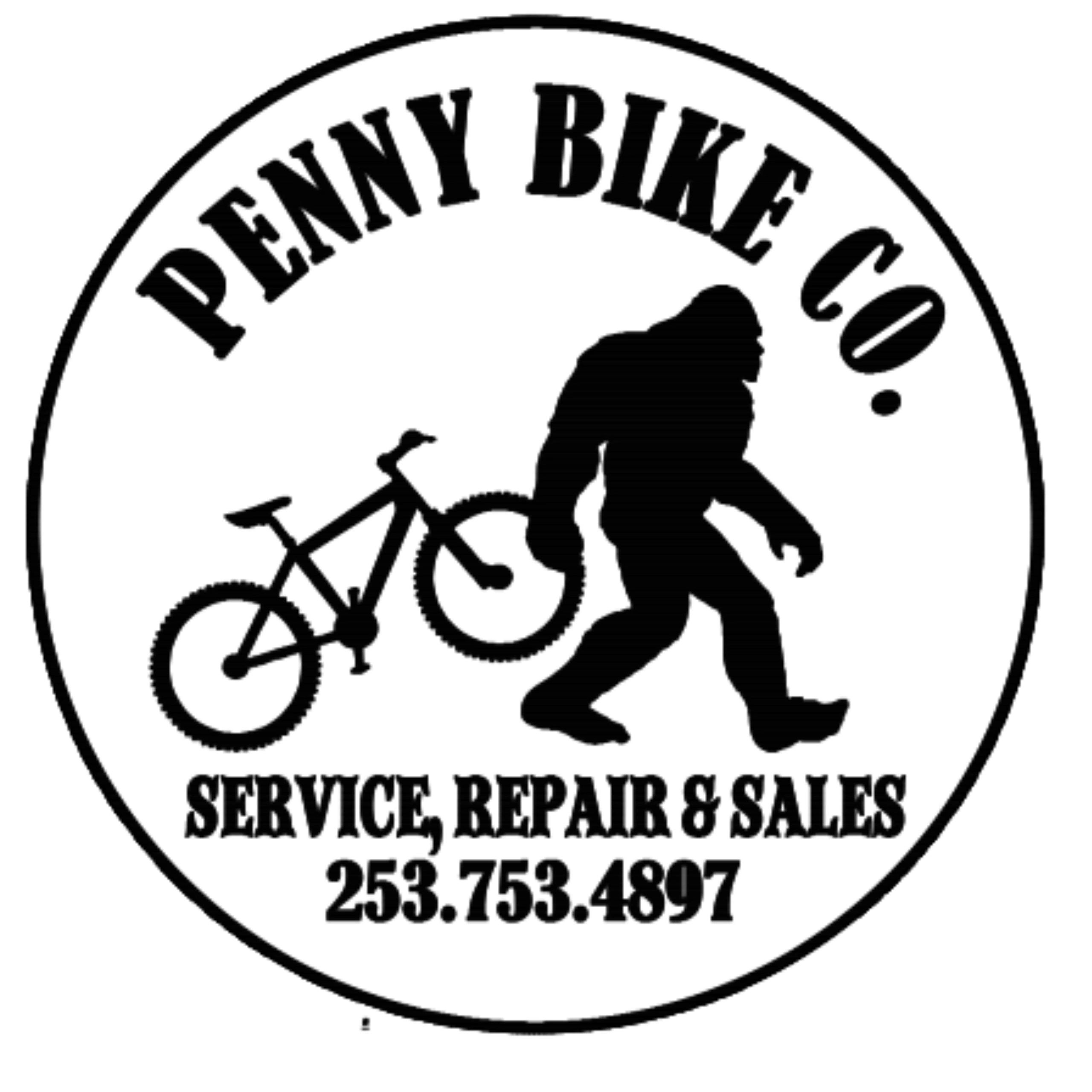 Electric Bike Service and Repair in WA by Penny Bike Co.