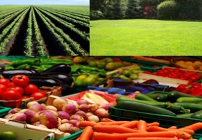 Fertilizer Like No Other: For Healthy
Lawns, Gardens and Produce
