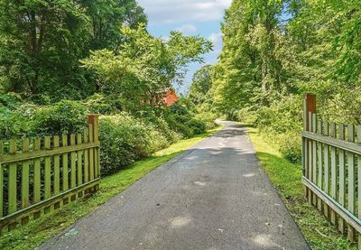 A paved pathway surrounded by lush green trees and an open wooden gate.