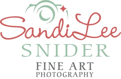 Sandi Lee Fine Art Photography