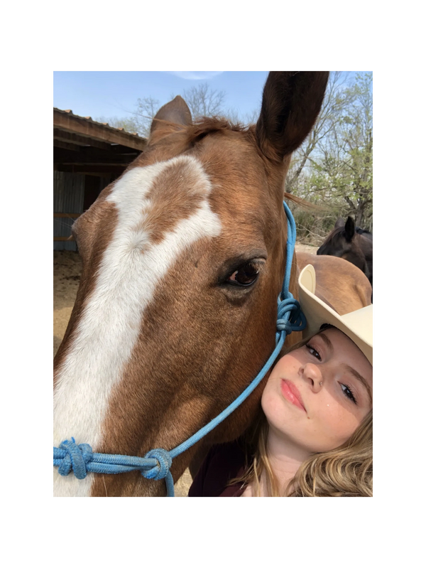 Equine Partners Veterinary Services Horse, Veterinarian, Equine