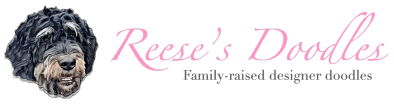 Reese's Doodles